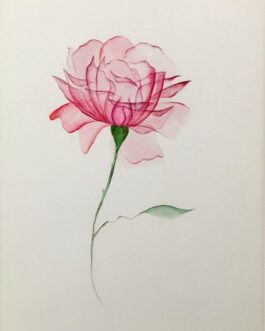 Pink Lotus